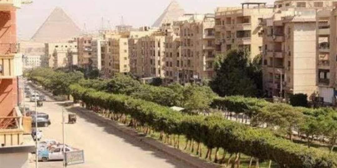 Photo of Others in Pyramids Gardens