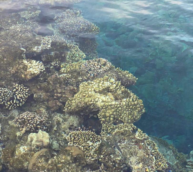 Photo of Outdoor in Ras Nasrani