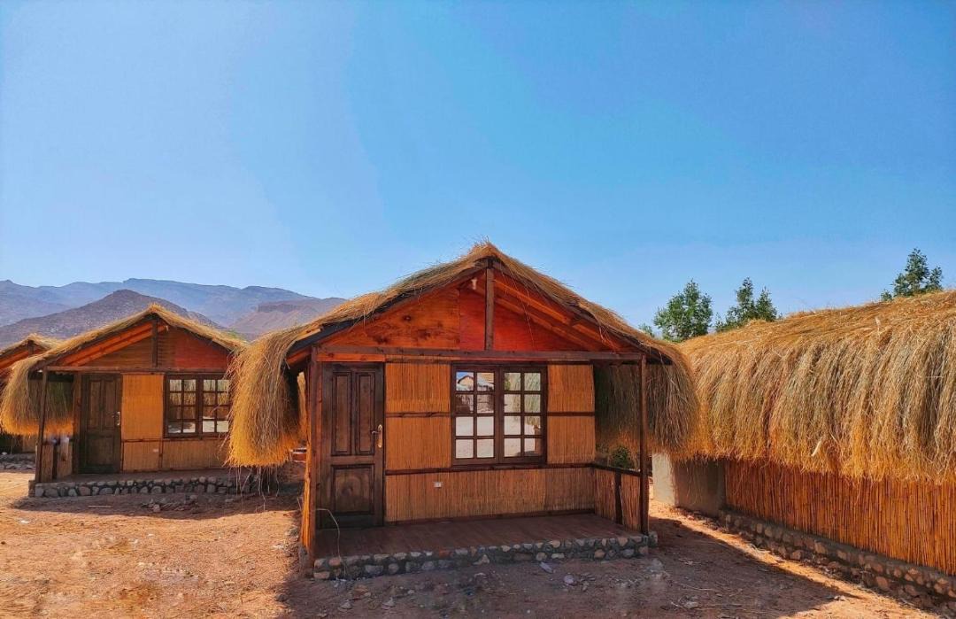 Photo of Others in Nuweiba