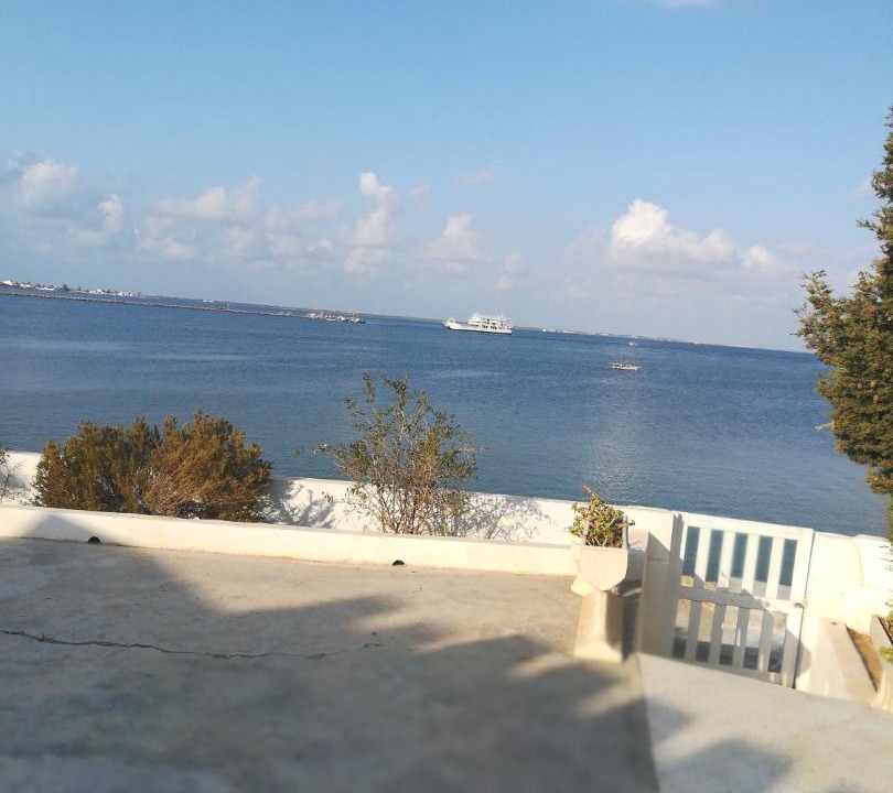 Photo of Others in Sidi Fredj