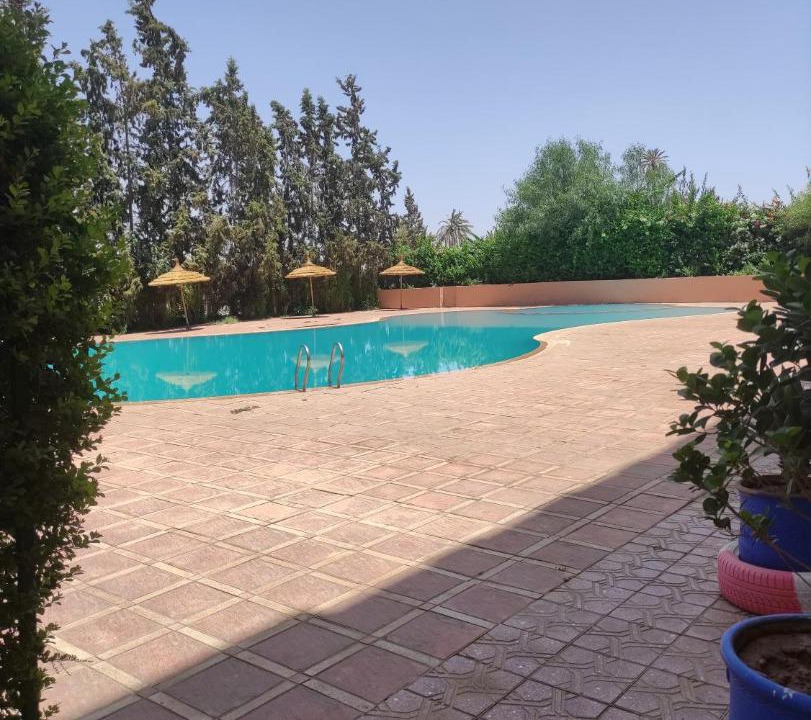 Photo of Outdoor in Palmeraie