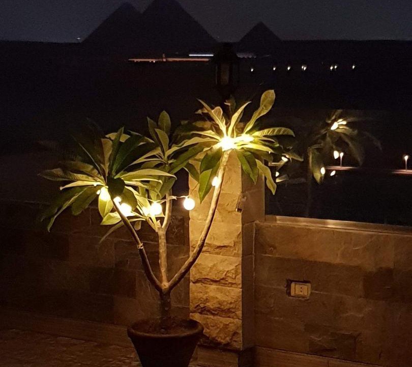 Photo of Others in Pyramids Gardens