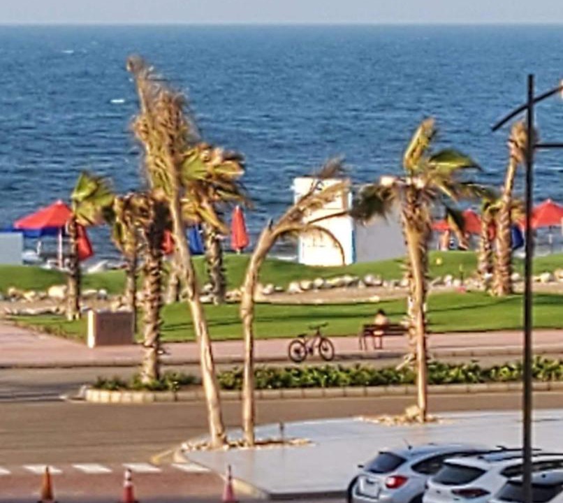 Photo of Others in Al Jamaliyah