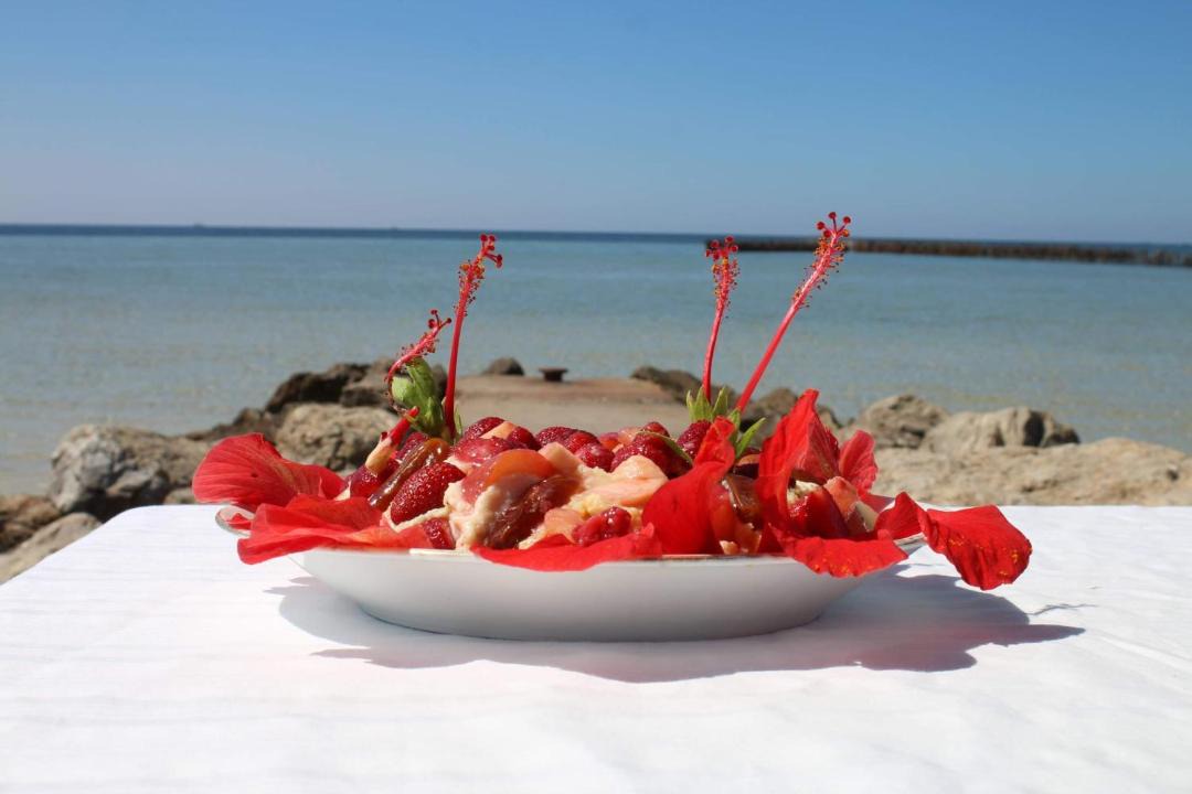 Photo of Others in Sidi Fredj