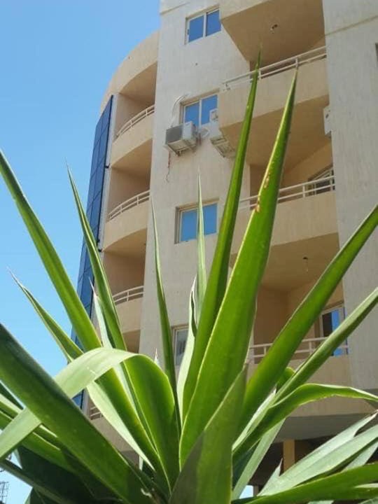 Photo of Others in Sidi Abd El-Rahman
