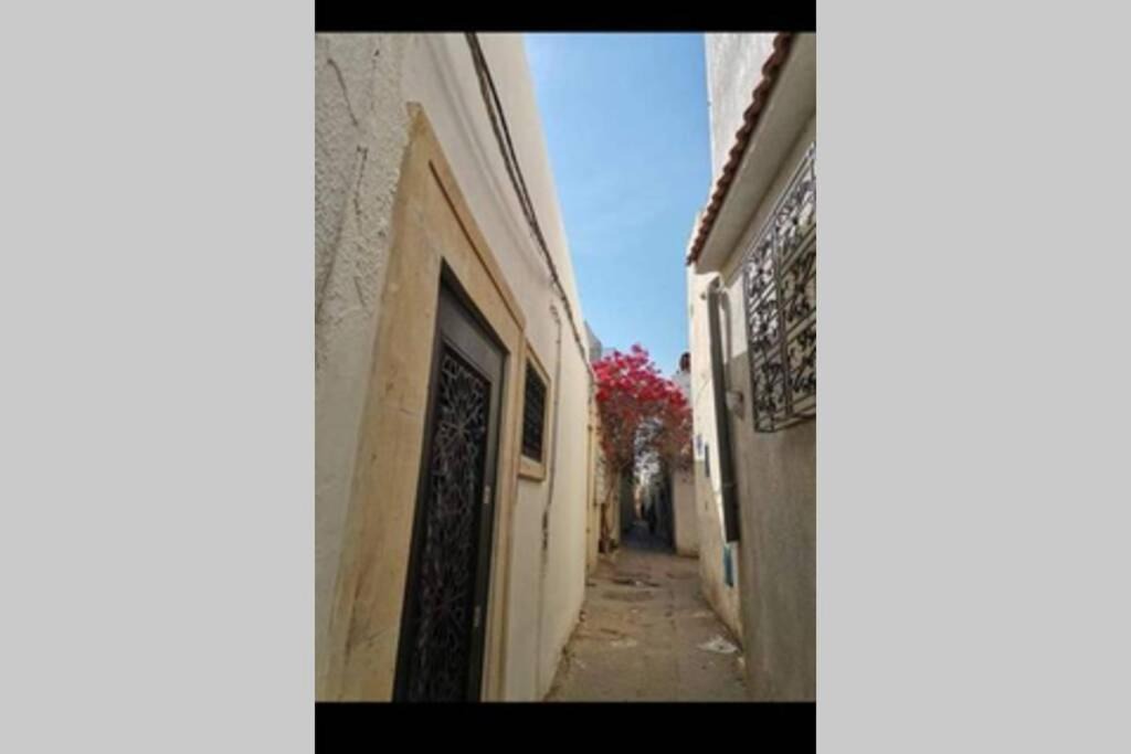 Photo of Others in El Halfaouine