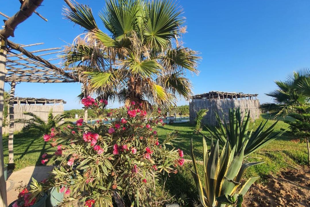 Photo of Others in El Maamoura