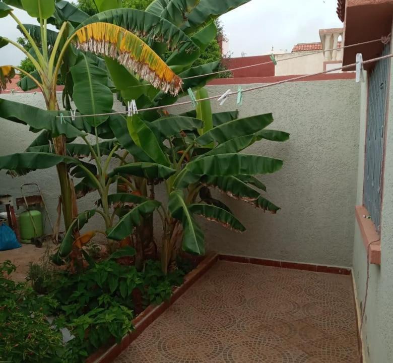Photo of Patio Balcony in Saidia