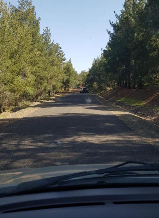 Photo of Others in District of Sidi Youssef Ben Ali