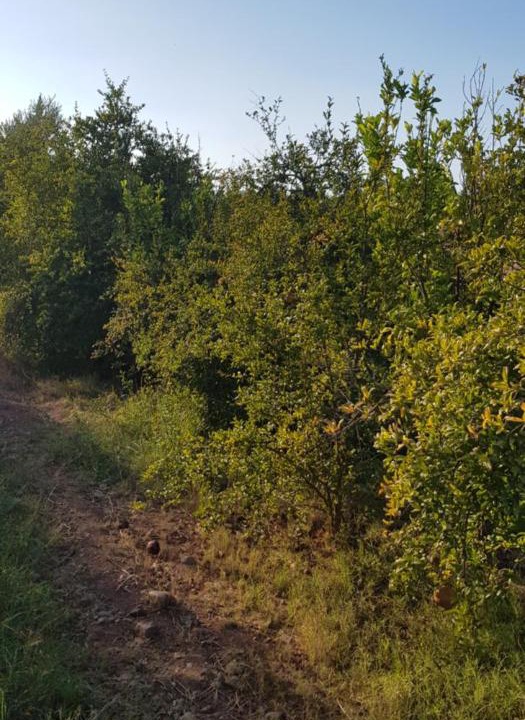 Photo of Outdoor in District of Sidi Youssef Ben Ali