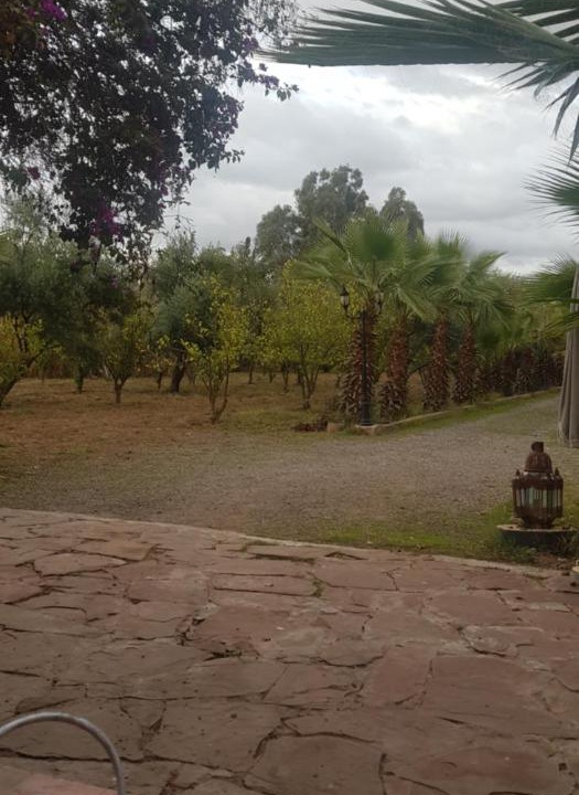Photo of Outdoor in District of Sidi Youssef Ben Ali
