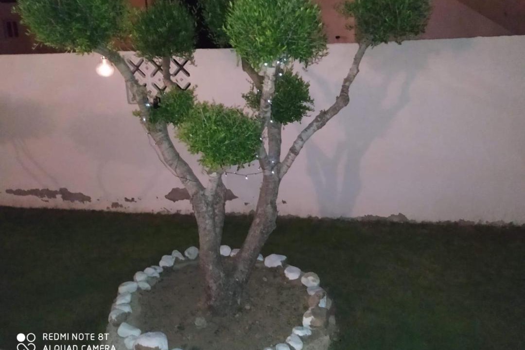 Photo of Livingroom in Hawmat al Badawiyin