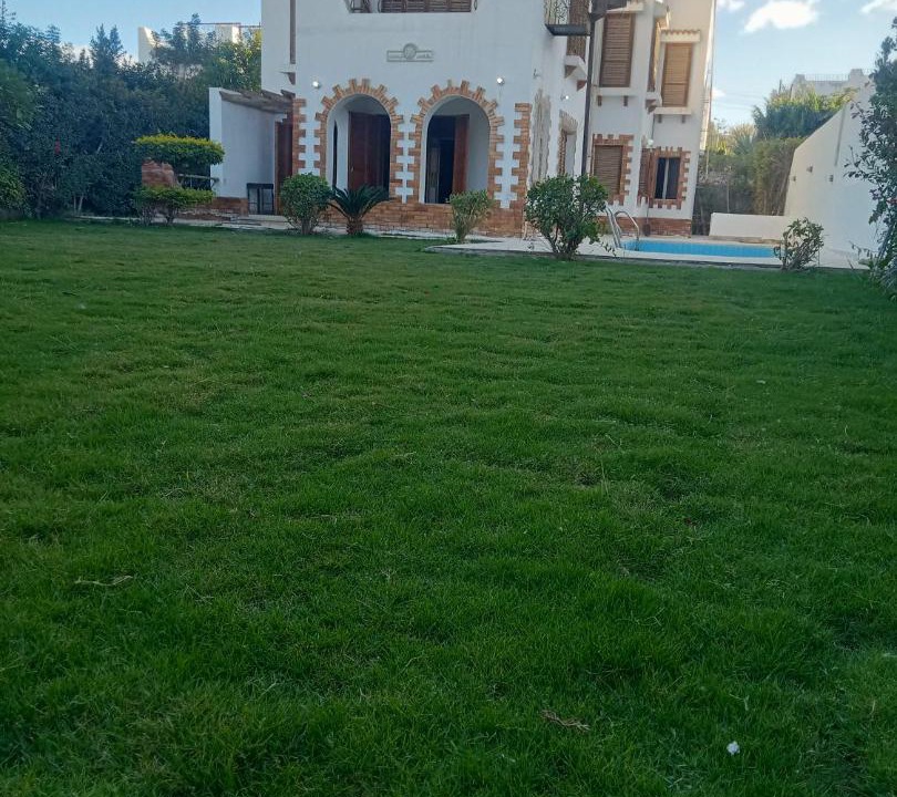Photo of Buildings in Yusuf as-Sidiq