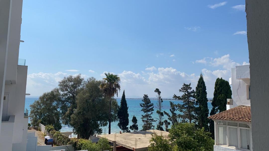 Photo of Others in Hammamet