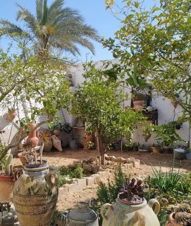 Photo of Others in Houmt Souk