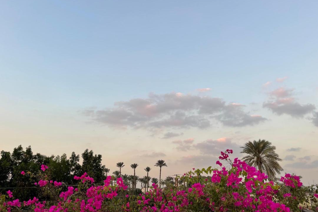 Photo of Outdoor in Giza