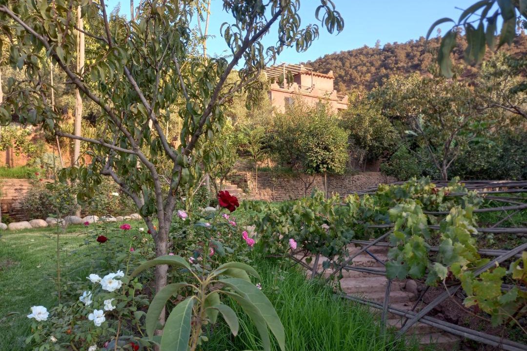 Photo of Others in Tnine Ourika