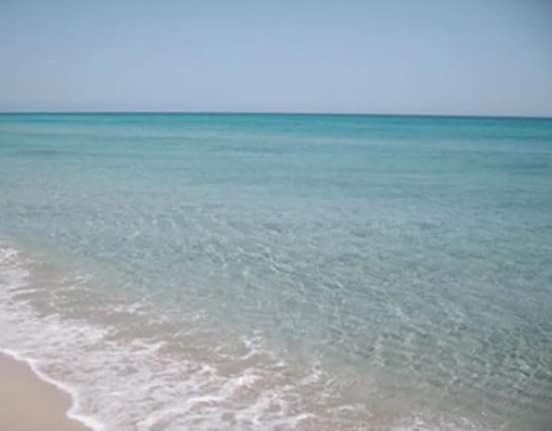 Photo of Others in Port El Kantaoui
