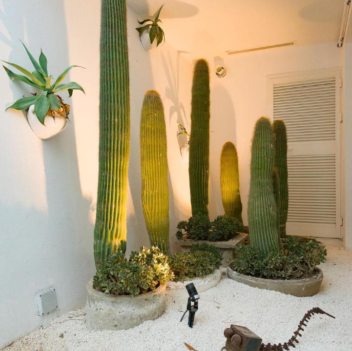 Photo of Others in Sidi Bou Said