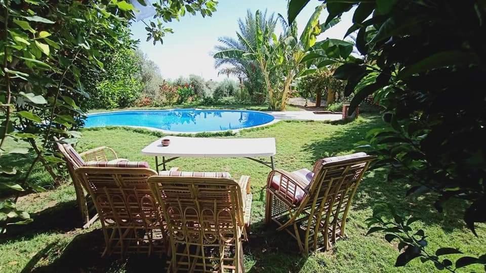 Photo of Outdoor in Tunis Village