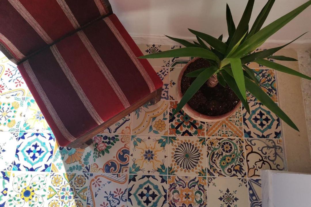 Photo of Others in Sidi Bou Said