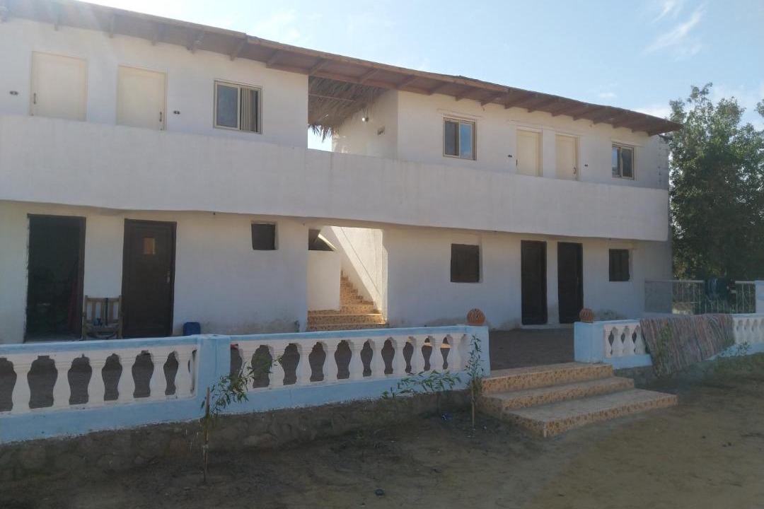 Photo of Buildings in Wasit