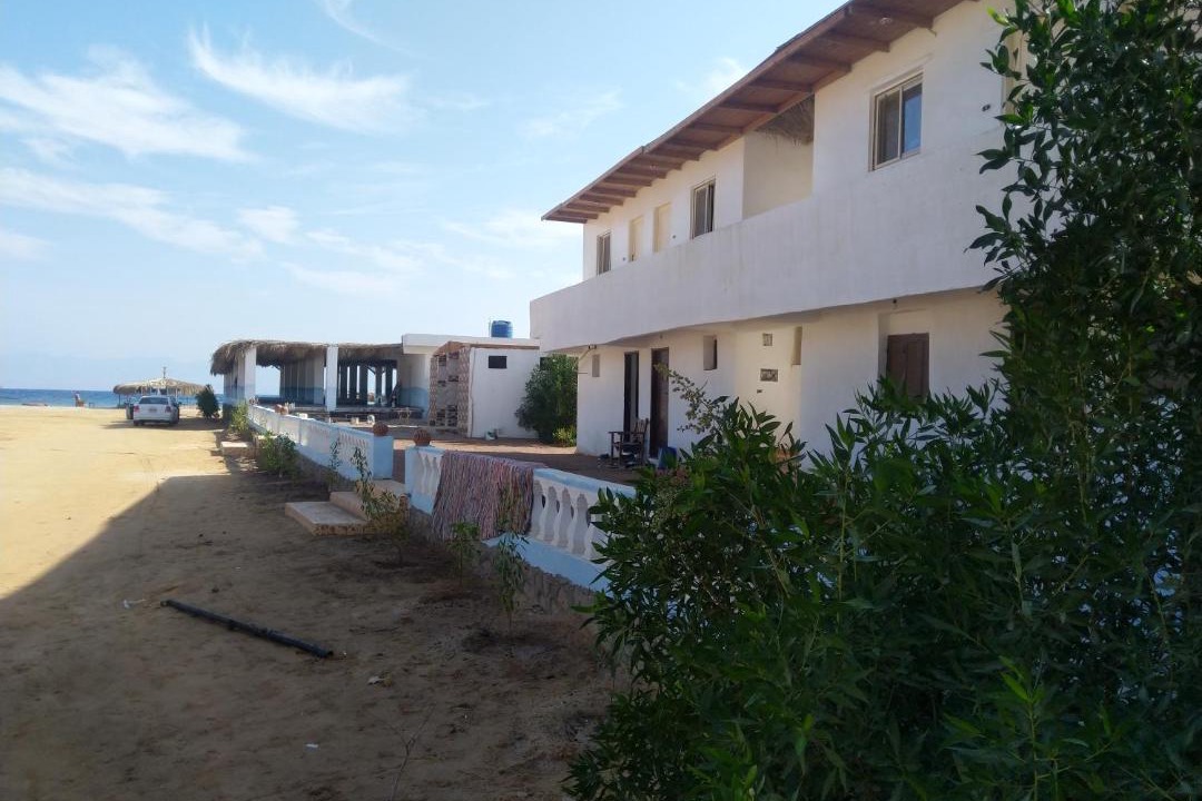 Photo of Buildings in Wasit