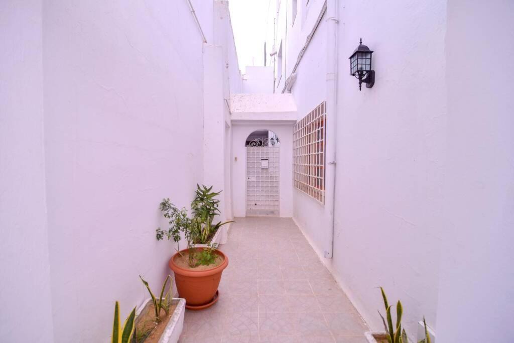 Photo of Others in Hammamet Sud
