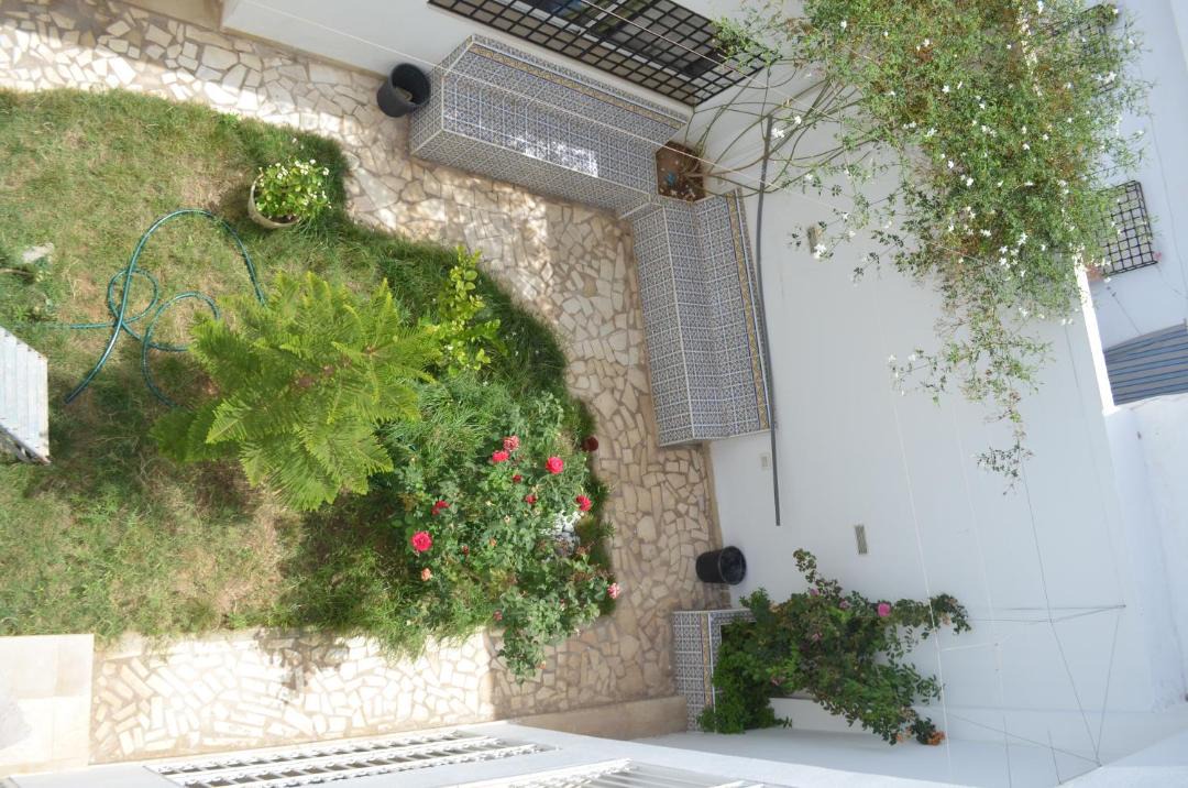 Photo of Others in Hammamet