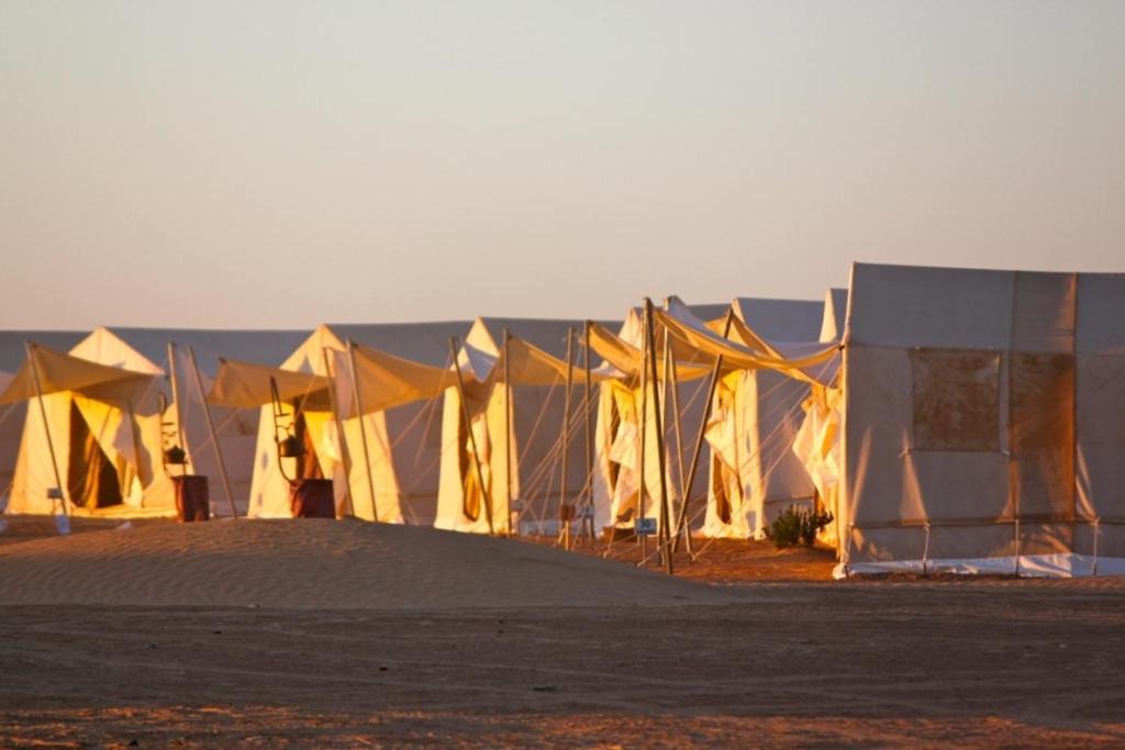 Photo of Others in Douz