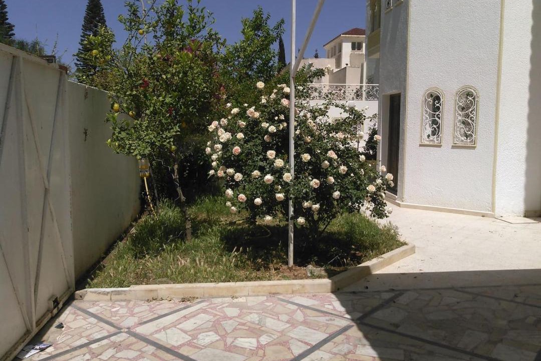 Photo of Others in Port El Kantaoui