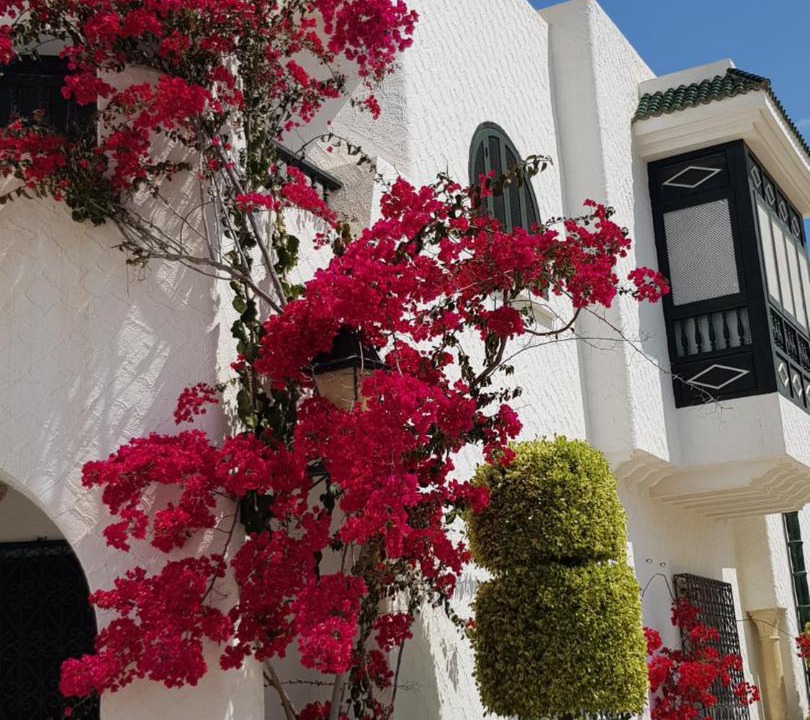 Photo of Buildings in Port El Kantaoui