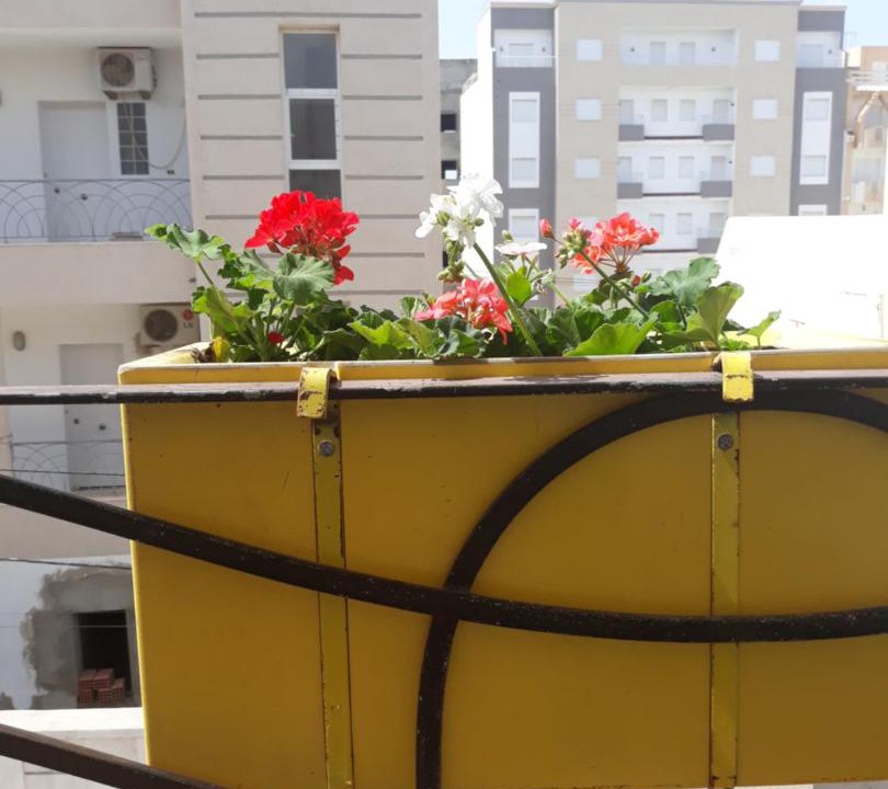 Photo of Kitchen in Port El Kantaoui