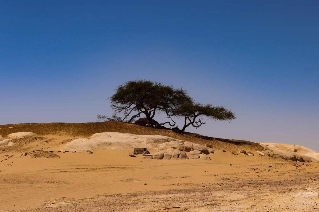 Photo of Others in Bawati