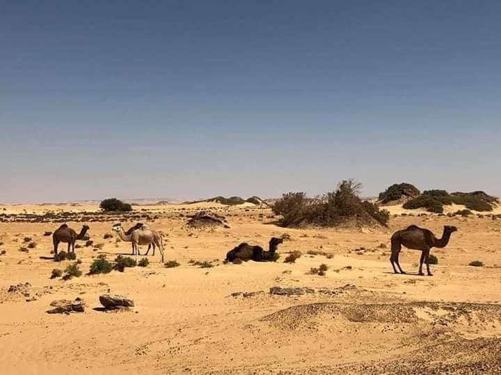 Photo of Others in Bawati