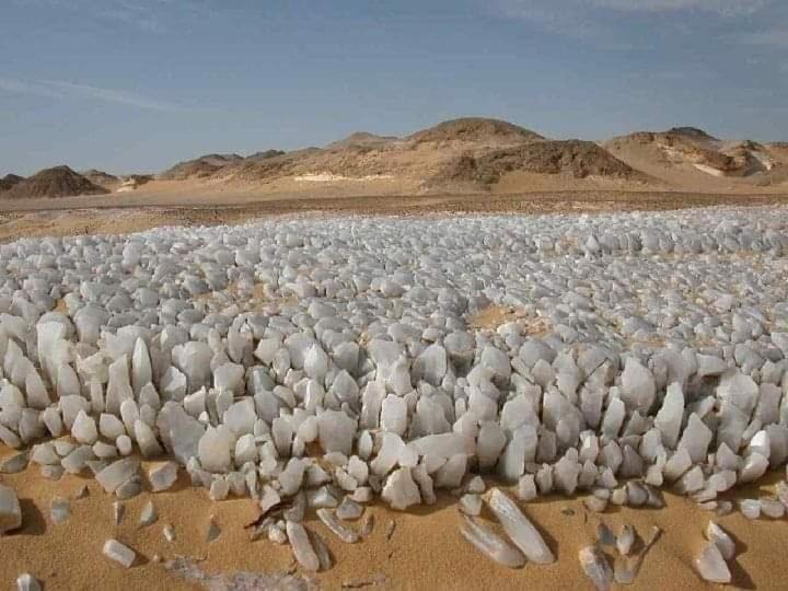 Photo of Others in Bawati