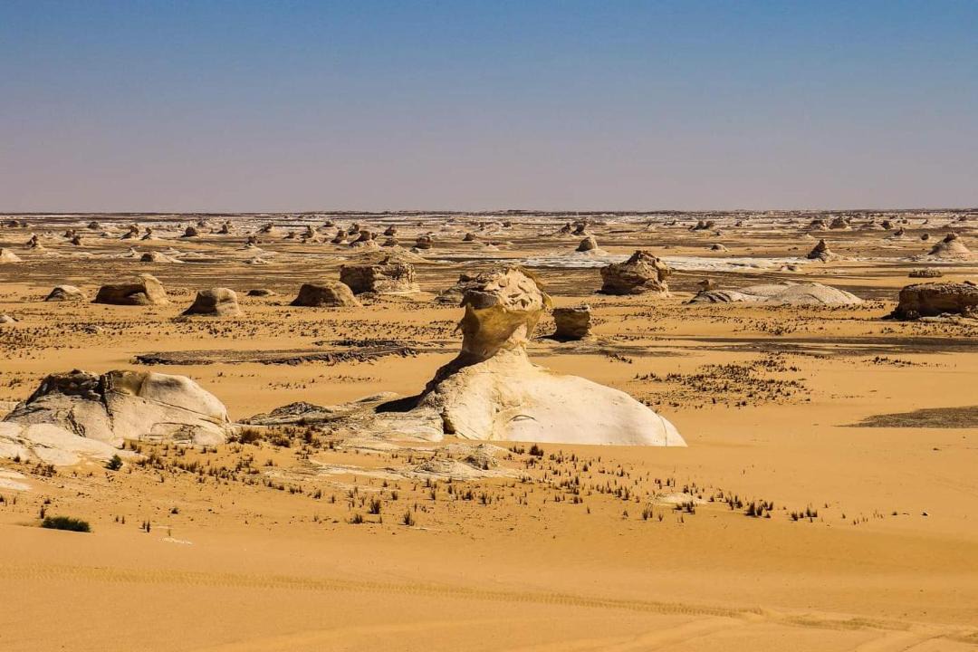 Photo of Others in Bawati