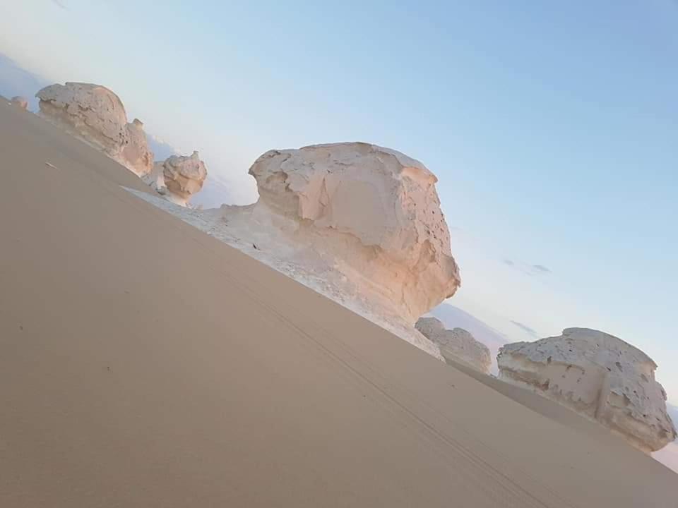 Photo of Others in Al Bawiti
