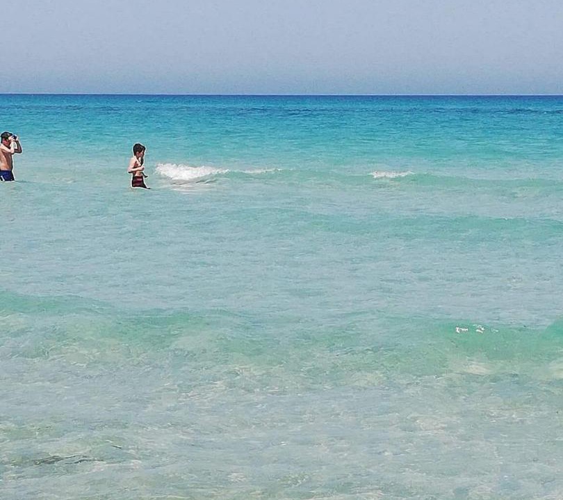Photo of Others in Kelibia