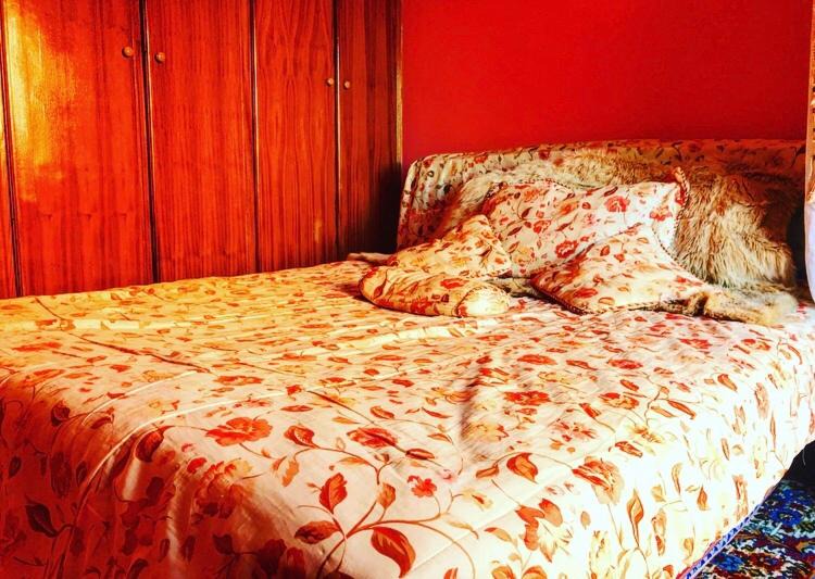 Photo of Bedroom in Marrakech