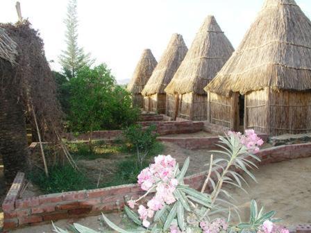 Photo of Others in Bawati