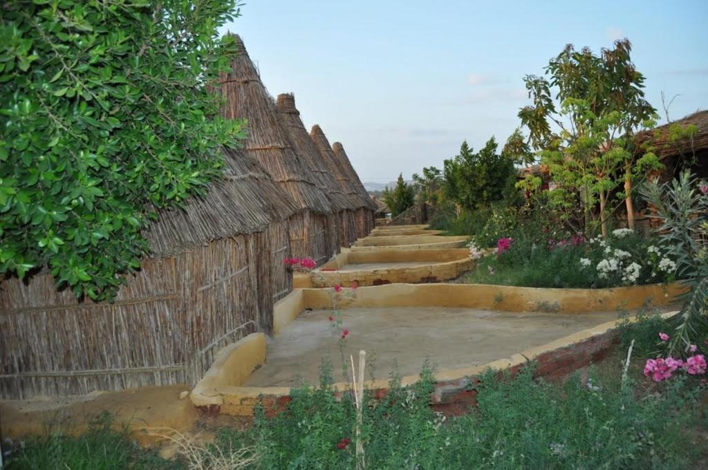 Photo of Others in Bawati