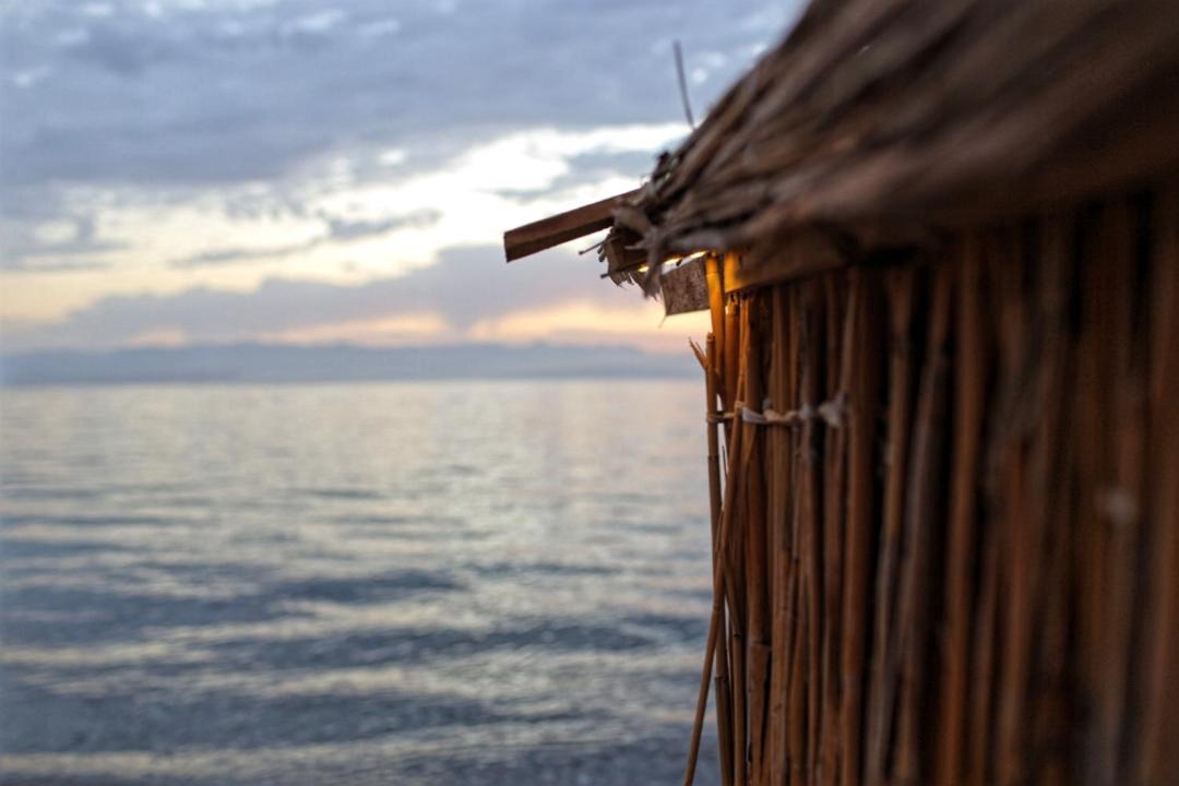 Photo of Others in Nuweiba