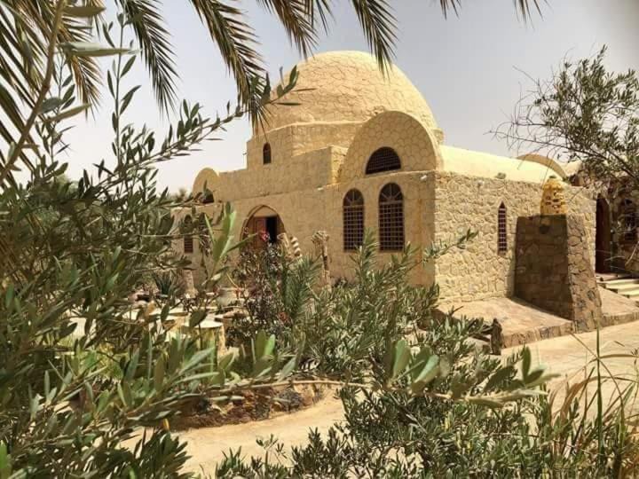 Photo of Others in Al Bawiti