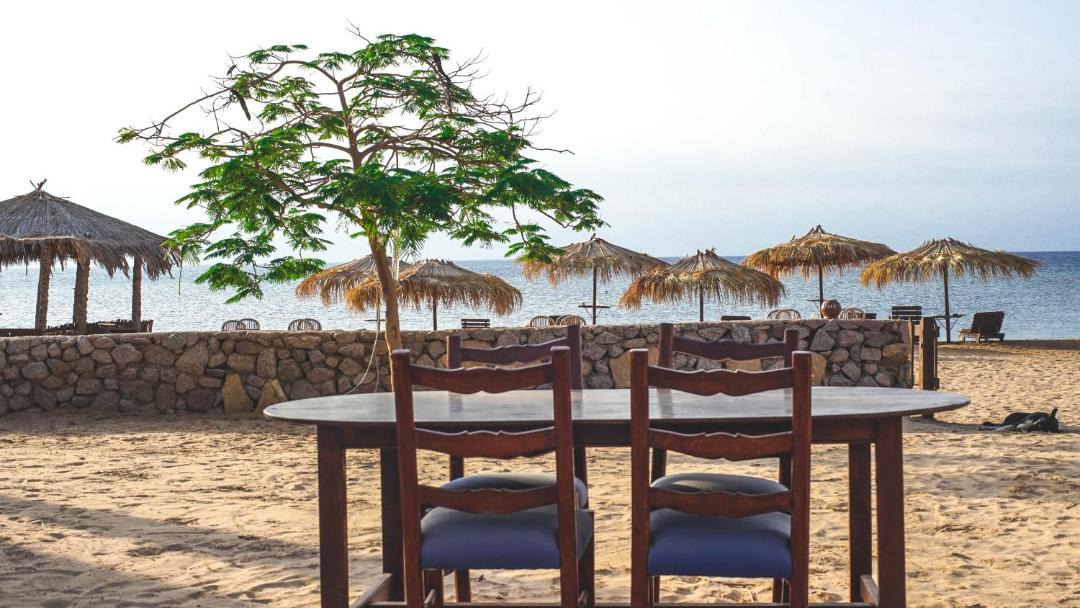 Photo of Others in Nuweiba