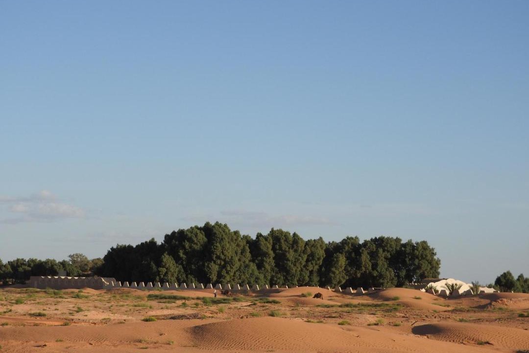 Photo of Others in Ksar Ghilane