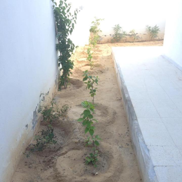 Photo of Others in Djerba Midun