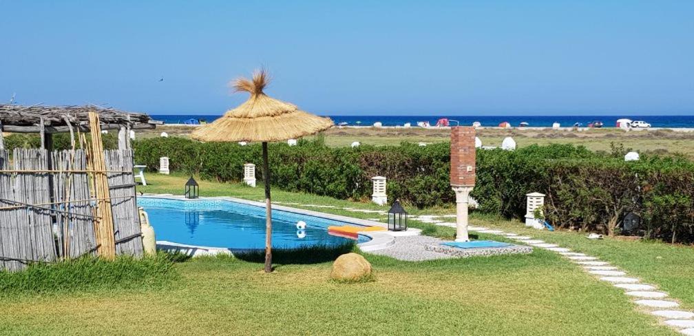 Photo of Others in El Maamoura