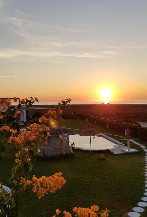Photo of Patio Balcony in El Maamoura
