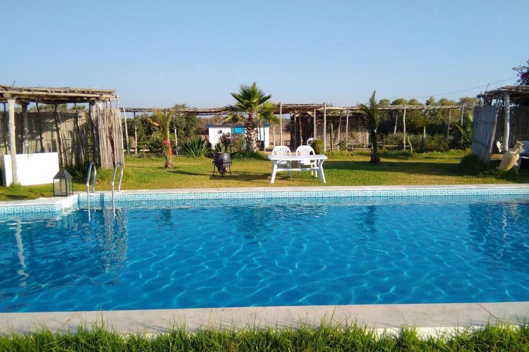 Photo of Others in El Maamoura